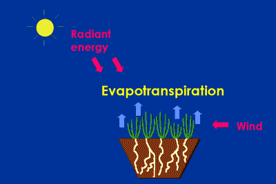 Landscape evapotranspiration page 4