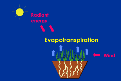 Landscape evapotranspiration Page 3