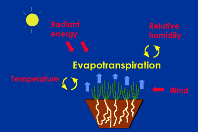Landscape evapotranspiration page 6